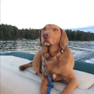 Meet your Posher, Laura